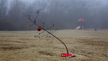christmas tree plumbrook.jpg