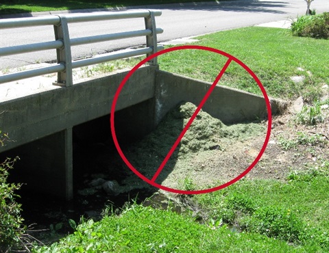 Grass clippings in drainage way